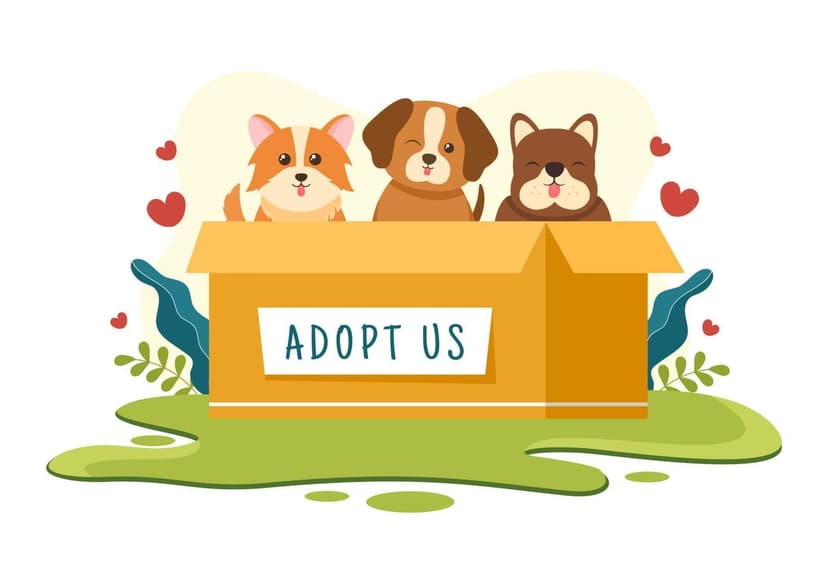 Pawsitive